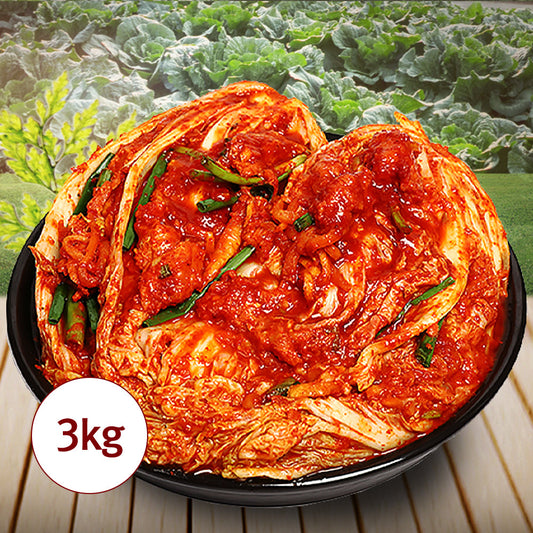[Dongho Kimchi] Pollack Premium Whole Kimchi 3kg / 6.6lb