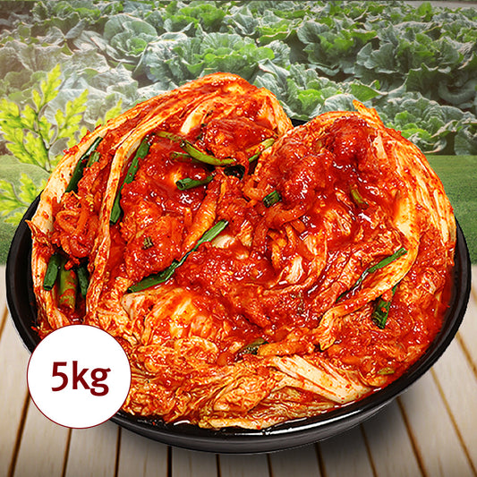 [Dongho Kimchi] Pollack Premium Whole Kimchi 5kg / 11lb